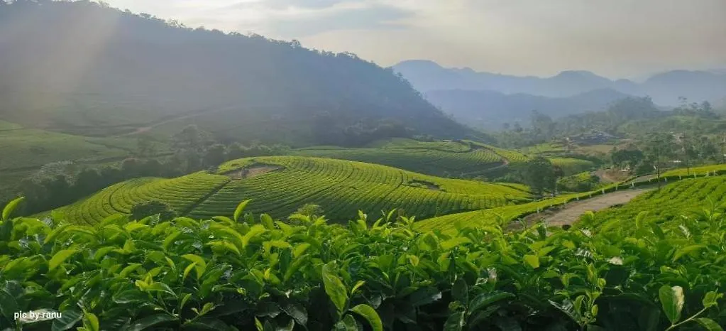 Mscb Guest House Idukki Indie