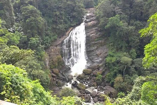 Mscb Guest House Idukki
